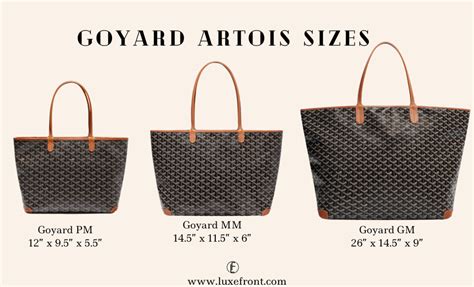 artois gm bag|goyard artois vs st louis.